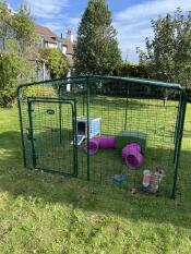 Outdoor rabbit run and tunnels…rabbits love it