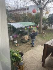 Enclosure Zippi