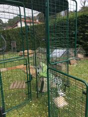 The open door of a green walk in run with a cover in a garden