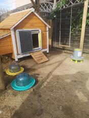 Autodoor attached to a wooden chicken coop inside a garden