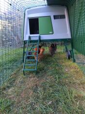 Chicken coop Eglu Cube