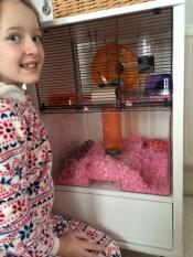 Two happy gerbils