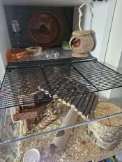Close up of the Qute hamster cage