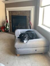 A large black dog on his grey bed