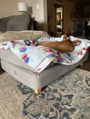 Snug as a bug!