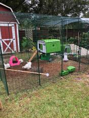 Omlet green Eglu Cube large chicken coop in Omlet walk in chicken run with green Eglu Go up in background