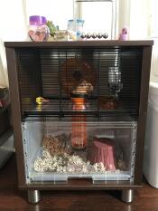A walnut colour Qute hamster and gerbil cage