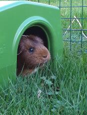 Gwen viewing the shelter. 