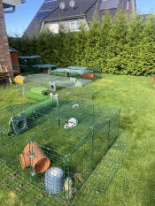 The best thing: the rabbits can decide for themselves where they want to be.