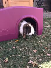 Bea exploring her new toy.