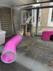 Play tunnel