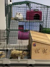 Just Discovered the upstairs 