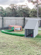 A green tunnel connecting two rabbit enclosures