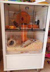 Gerbil cage all set up