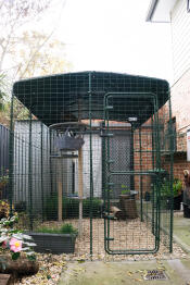 A catio enclosure set up in a garden.