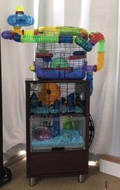 A Qute hamster cage with a storage unit underneath and an extension with another cage above it