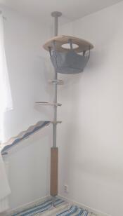 Freestyle scratcher with accessories