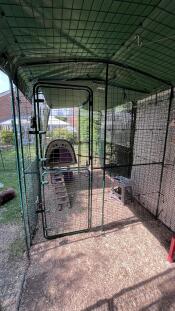 Installing the walk in chicken run partition