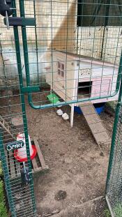 We like how the coop fits inside for more protection from mr fox