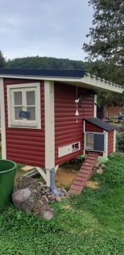 A wooden coop with a ladder leading up the automatic door opener.