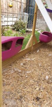 Hook on any fence, it's great!