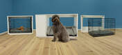 The Omlet Fido Nook has a removable dog box for transport and puppy training.
