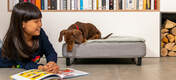 The feet come in a range of designs, like the ski style metal rail in black seen on the small Topology dog bed here.