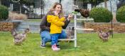 Mum and daughter playing with chickens perching in the universal free standing chicken perch toy