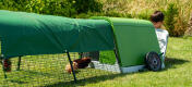 Eglu Go guinea pig hutch and run