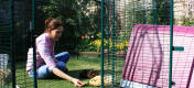 There is plenty of space in the outdoor enclosure to spend time with your guinea pigs.