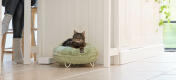 Cat in a kitchen, relaxing in the super soft mint green donut bed