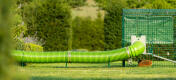 Zippi tunnel connected to a guinea pig run, being raised up from lawn by Zippi support hoops.