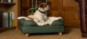 Terrier relaxing in a bolster bed with a Luxury sheepskin dog blanket