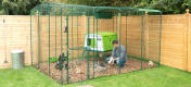 Man feeding his chickens in Omlet chicken walk in run with green Eglu large chicken coop next to him