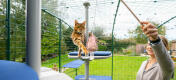 Cat playing with Maya cat toy on Freestyle outdoor cat tree in Omlet catio outside in garden