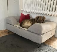 The most coveted place in our living room among our four-legged friends 
