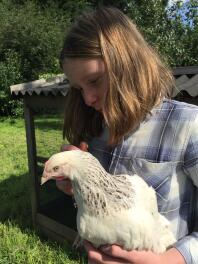 Hermionie Hen coming home!