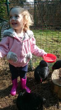 Loving the chickens.