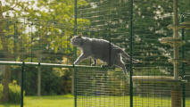 Weatherproof outdoor cat tunnel system