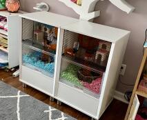 Playroom gerbils