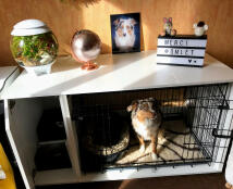 A small colourful dog inside a Fido Studio cage with a wardrobe attached and ornaments on top