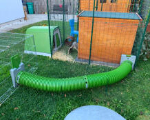 Omlet green Eglu Go rabbit hutch connected to Omlet walk in rabbit run and Omlet Zippi tunnel connected to run