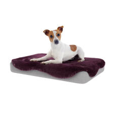 The beds come with all different toppers so you can choose one to suit your home.
