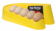 Yellow egg ramp