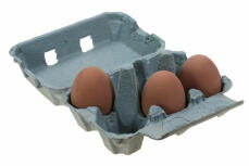 Blue egg box with three eggs in