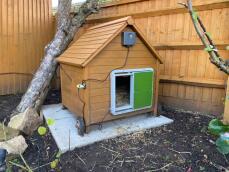 Automatic chicken coop door - green