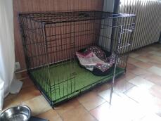 A transport cage for a dog made out of wire mesh