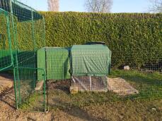 Omlet Eglu Cube large chicken coop and run connected to Omlet walk in chicken run