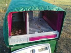 Thermal blanket access to eggs and nest box