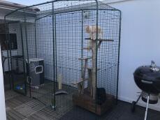 An Omlet outdoor cat run / catio complete with cat climbing tree.